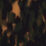 AAR7